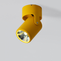 Потолочный светильник R-Loft LD-005